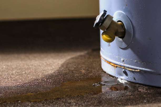 Best Water damage repair service  in Belle Fourche, SD