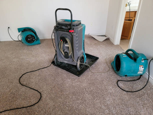 Best Professional water damage repair  in Belle Fourche, SD