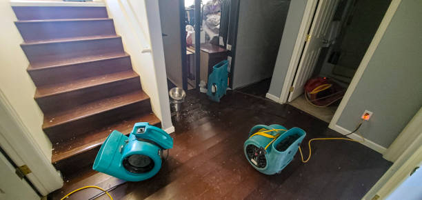 Best 24-hour water damage restoration  in Belle Fourche, SD
