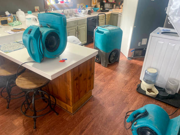 Best Flood damage cleanup  in Belle Fourche, SD