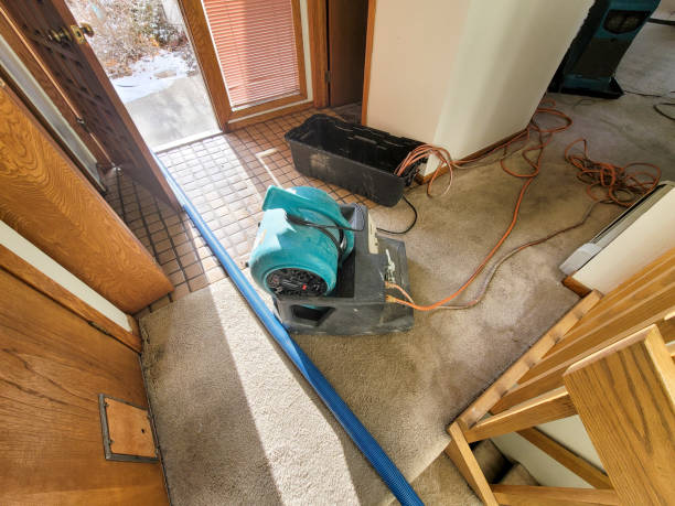 Best Water damage cleanup near me  in Belle Fourche, SD