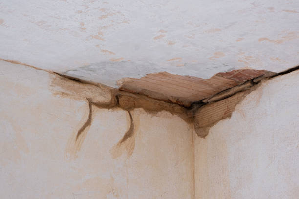 Best Flood restoration services  in Belle Fourche, SD