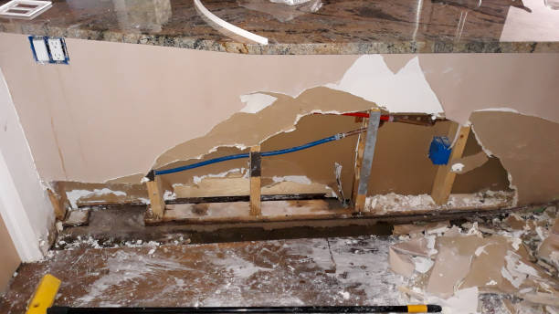 Best Residential water damage restoration  in Belle Fourche, SD