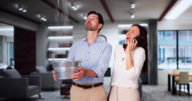Best Residential water damage restoration  in Belle Fourche, SD