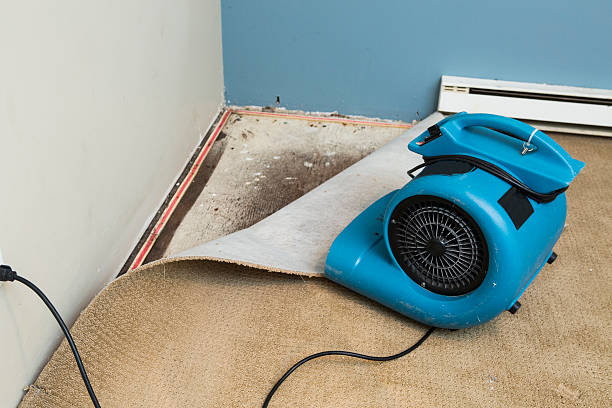 Best Emergency water damage restoration  in Belle Fourche, SD